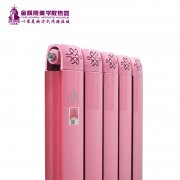 共享延長暖氣片品牌系統壽命的方法