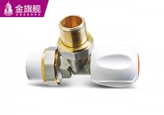 6分PPR接口溫控角閥s