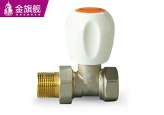 暖氣片配件-內外絲溫控閥s